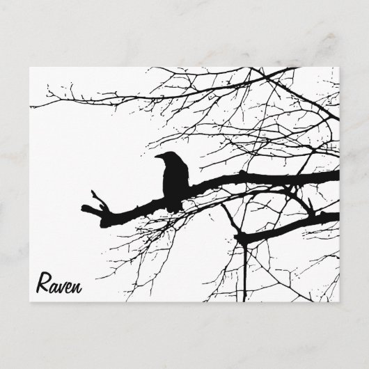 Raven on the Tree Postkarte (Vorderseite)