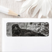 Raven P9239 (Insitu)