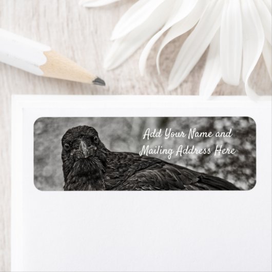 Raven P9239 (Insitu)