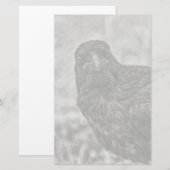 Raven P9239 Briefpapier (Vorne/Hinten)