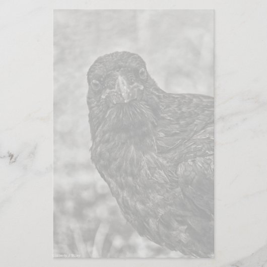 Raven P9239 Briefpapier (Vorderseite)