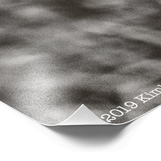 Raven P9239 Fotodruck (Ecke)