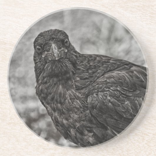 Raven P9239 Getränkeuntersetzer (Vorne)