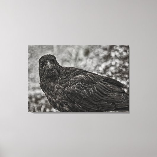 Raven P9239 Leinwanddruck (Vorderseite)