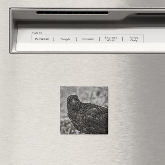 Raven P9239 Magnet (In Situ (Geschirrspüler))