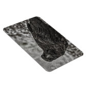 Raven P9239 Magnet (Rechte Seite)