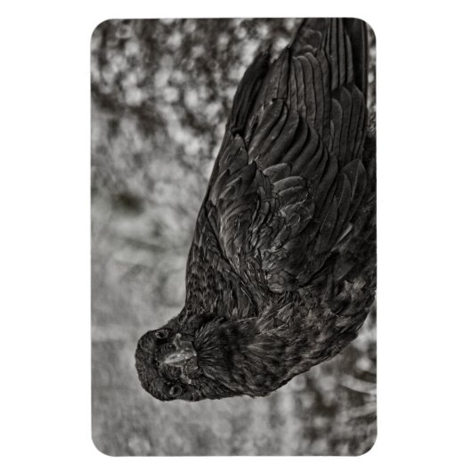 Raven P9239 Magnet (Vertikal)