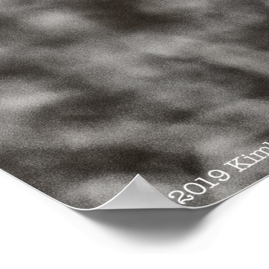 Raven P9239 Poster (Ecke)