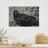 Raven P9239 Poster (Küche)