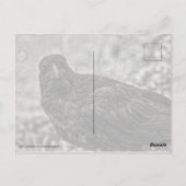 Raven P9239 Postkarte (Rückseite)