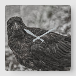 Raven P9239 Quadratische Wanduhr