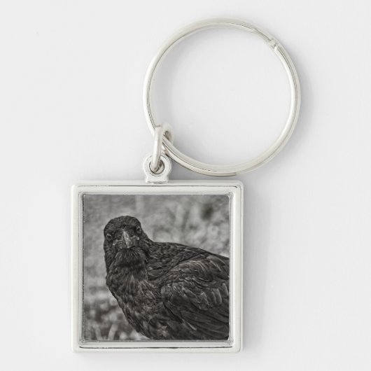 Raven P9239 Schlüsselanhänger (Vorne)