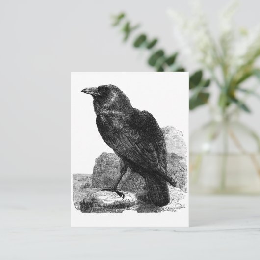 Raven Postcard Postkarte (Stehend Vorderseite)