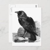 Raven Postcard Postkarte (Vorne/Hinten)