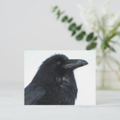 Raven Postcard Postkarte (Stehend Vorderseite)