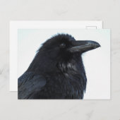 Raven Postcard Postkarte (Vorne/Hinten)