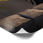 Raven Poster (Ecke)