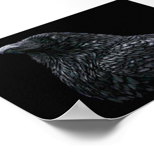 Raven Poster (Ecke)
