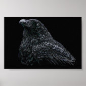 Raven Poster (Vorne)