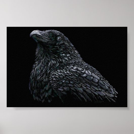 Raven Poster (Vorne)