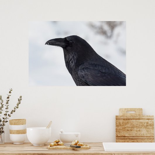 Raven Poster (Küche)