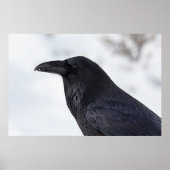 Raven Poster (Vorne)