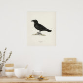 Raven Poster (Küche)