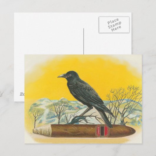 Raven Postkarte (Vorne/Hinten)