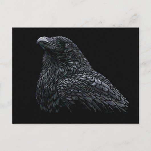 Raven Postkarte (Vorderseite)