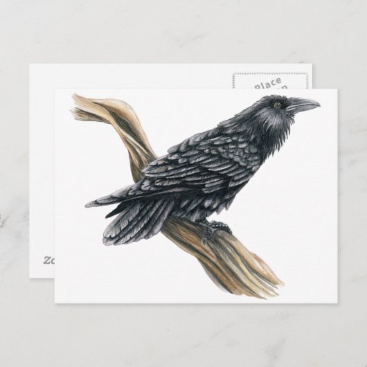 Raven Postkarte (Vorne/Hinten)
