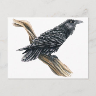 Raven Postkarte