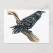 Raven Postkarte (Vorderseite)