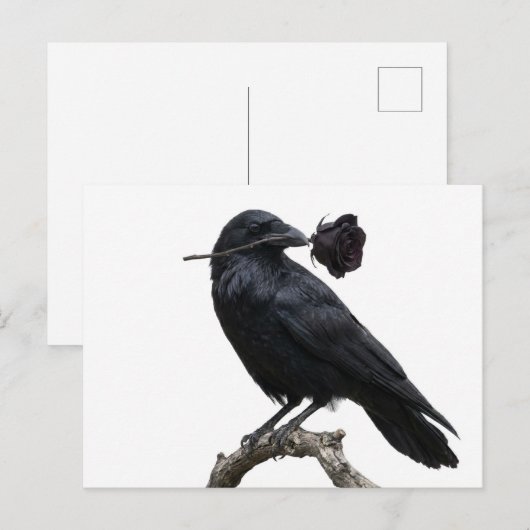 Raven Postkarte (Vorne/Hinten)