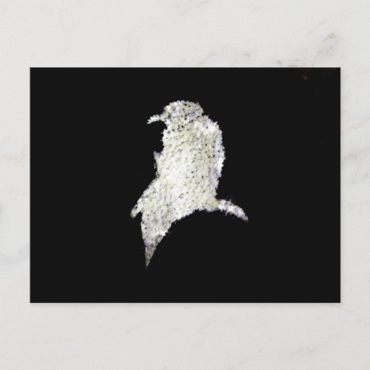 Raven Postkarte (Vorderseite)
