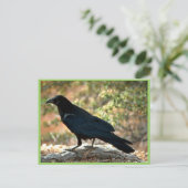 Raven Postkarte (Stehend Vorderseite)