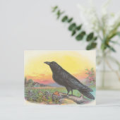 Raven Postkarte (Stehend Vorderseite)