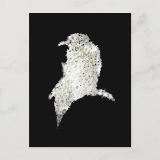 Raven Postkarte (Vorderseite)