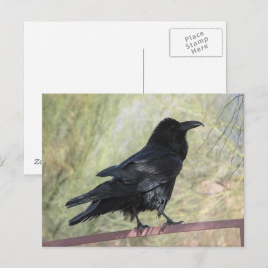 Raven Postkarte (Vorne/Hinten)