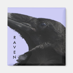 Raven Profile Magnet