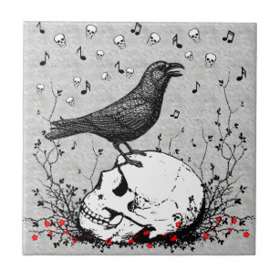 Raven Sings Song of Death on Skull Illustration Fliese