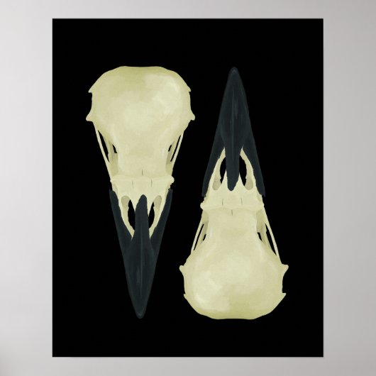 Raven Skulls Poster (Vorne)