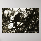 Raven Steampunk Poster (Vorne)