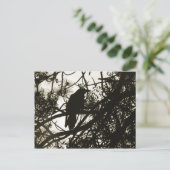 Raven Steampunk Postkarte (Stehend Vorderseite)