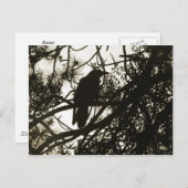 Raven Steampunk Postkarte (Vorne/Hinten)