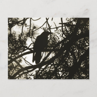 Raven Steampunk Postkarte