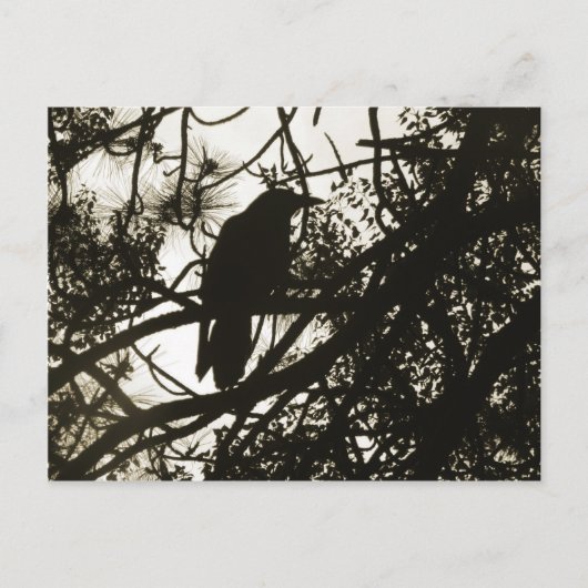 Raven Steampunk Postkarte (Vorderseite)