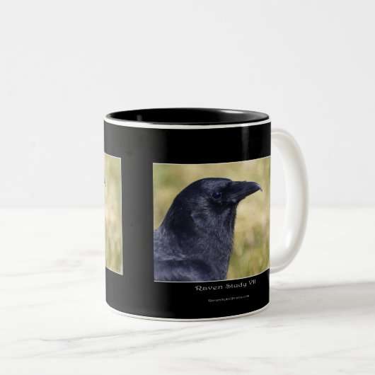 RAVEN STUDY Collection Zweifarbige Tasse (VorderseiteRechts)