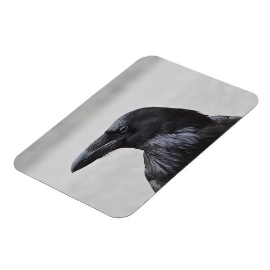 Raven the Magnificent! Magnet (Linke Seite)