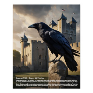 Raven Tower of London Poster