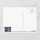 Raven- und Kolibri Postkarte (Rückseite)